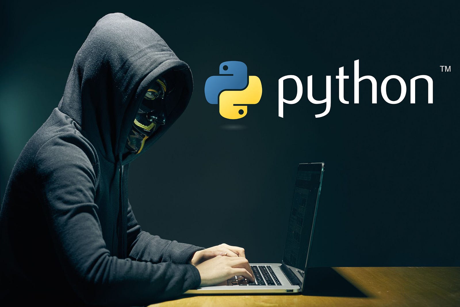 python-the-top-choice-for-cyber-security-logic-finder