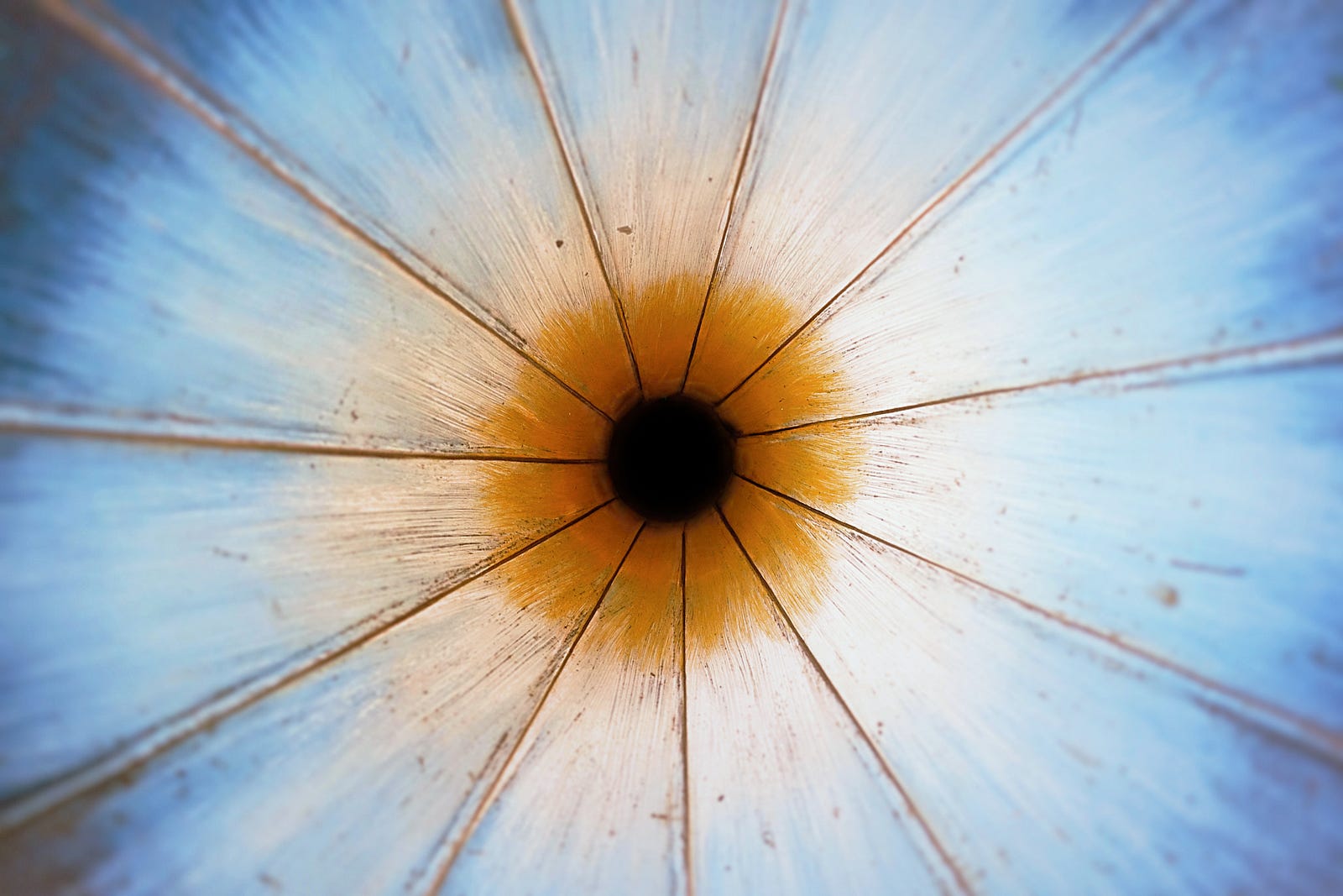 (Source: Photo by Cameron Ballard on [Unsplash](https://unsplash.com/) )