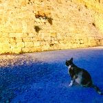 rhodes island greece