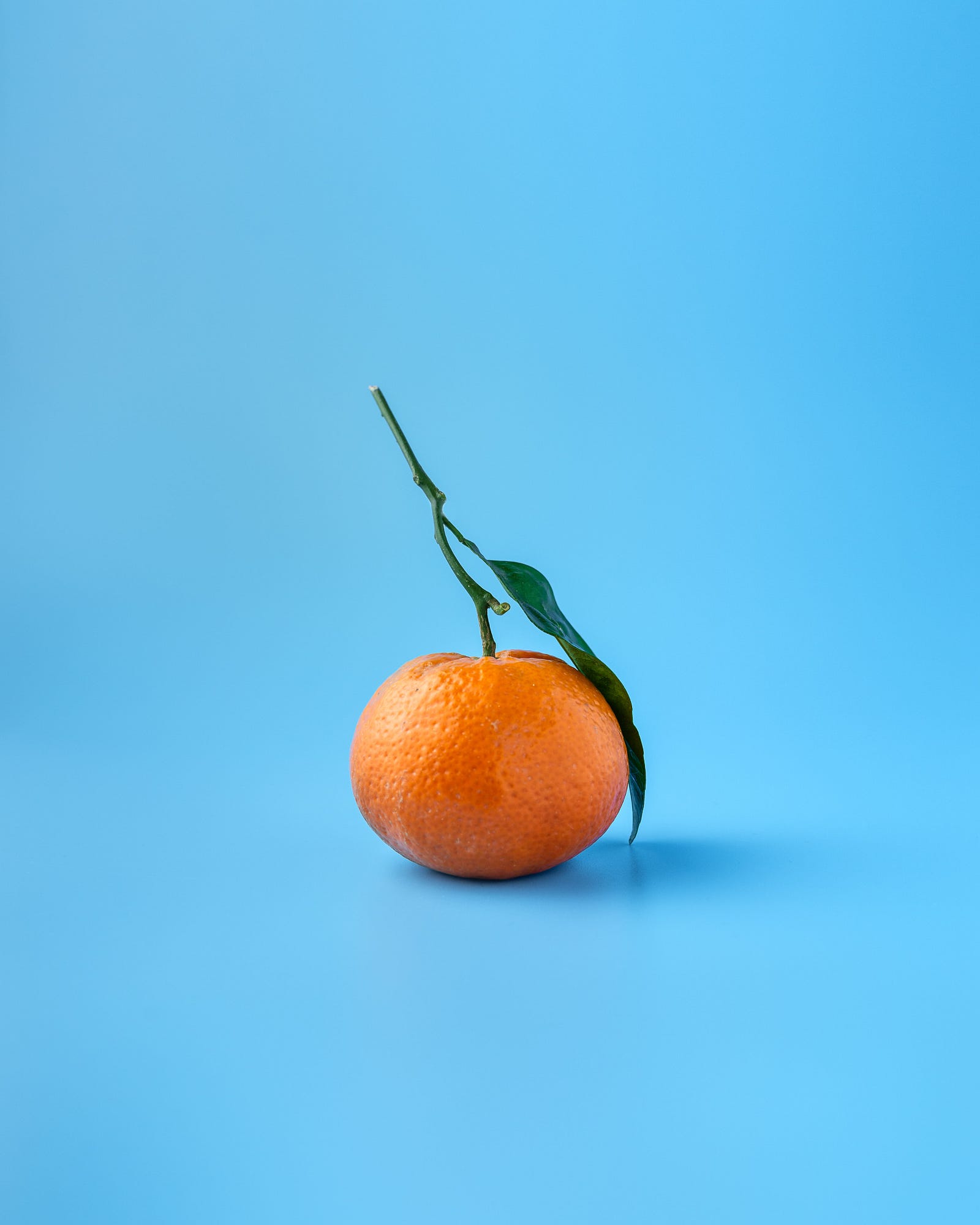 A single tangerine (with a long stem) set against a light blue background. The vitamin C content of tangerines may promote collagen synthesis. This synthesis can reduce aging signs and improve wound healing.