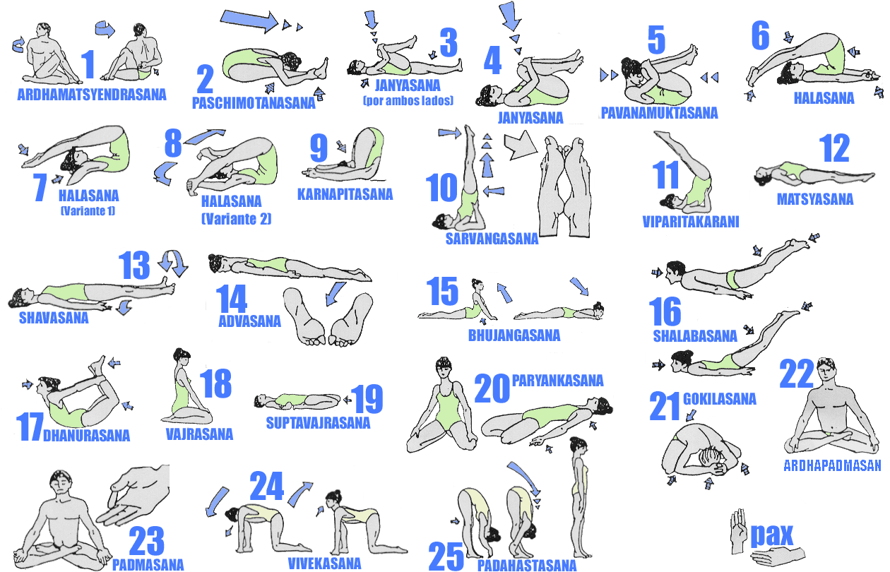 Different Types Of Yoga  Healthy  Stylish  Medium-8900