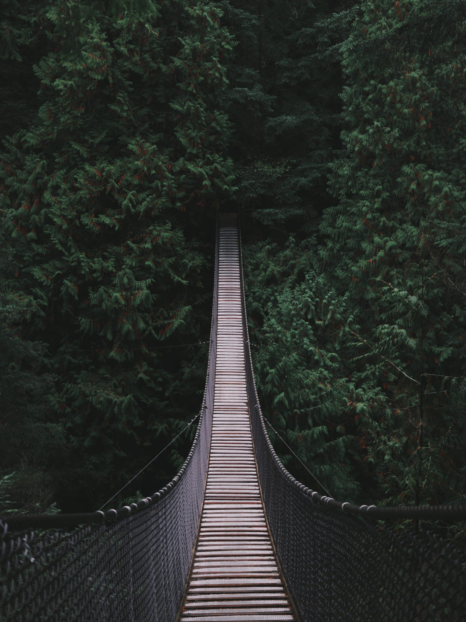 API Auth and GraphQL in Laravel – Josh Krawczyk – Medium