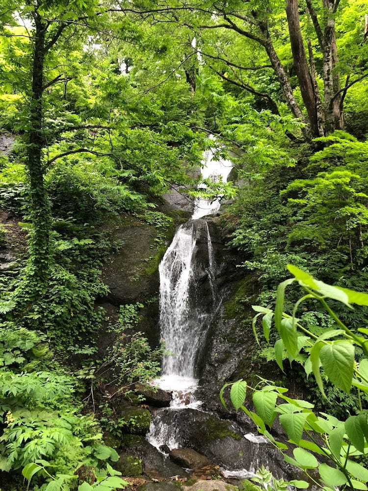 Hakuen-no-taki, The White Monkey Falls in the middle of the forest on Yozo-san