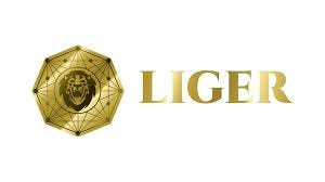 Image results for ligercoin bounty