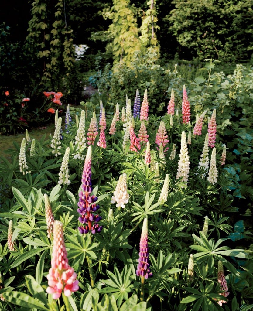 dries-van-noten-lier-garden