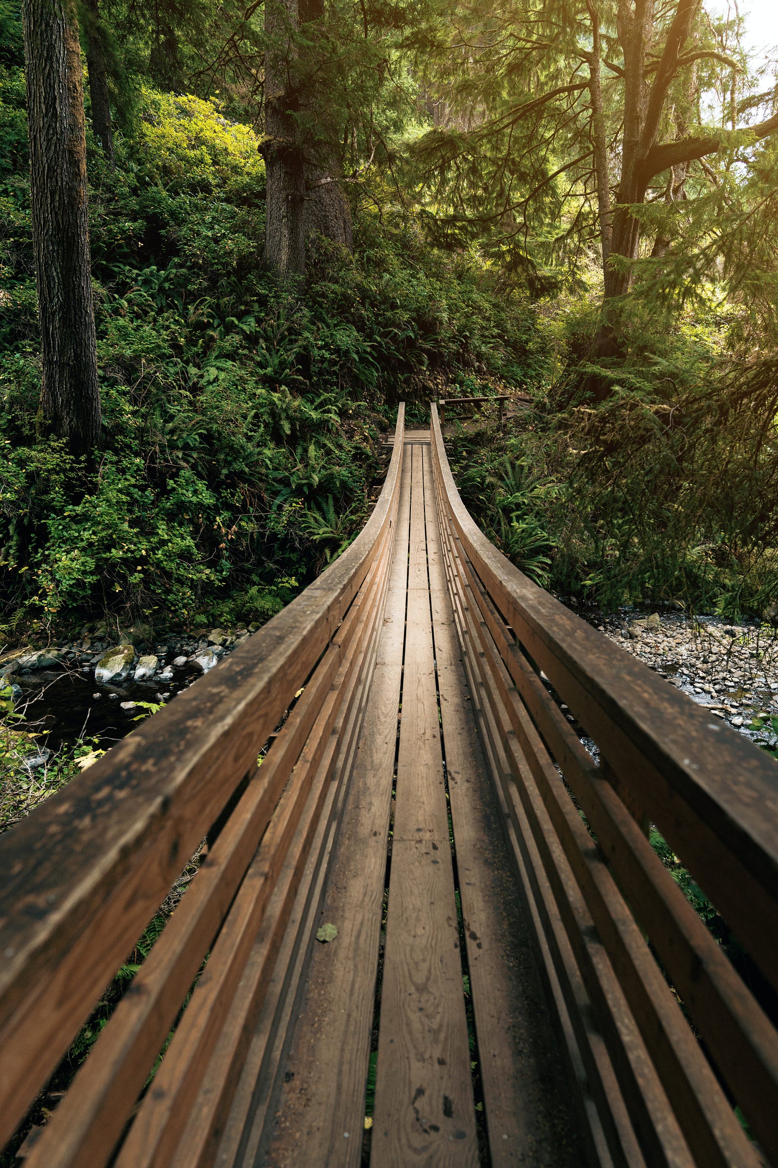A wooden bridge in a Northwest USA forest. We see the bridge along its long axis. We nature enthusiasts can combine cardio with the great outdoors through hiking. The uneven terrain and elevation changes provide an excellent workout for our hearts and legs.