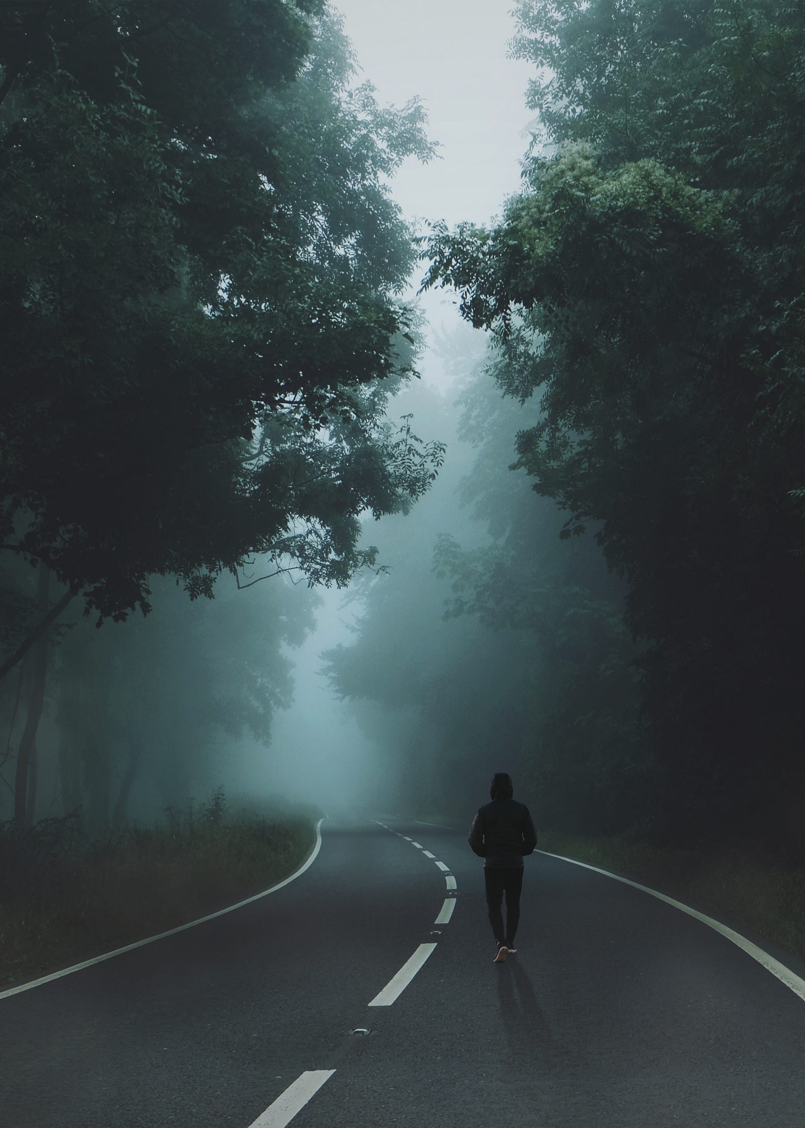 A man jogs away from us, down a road in the woods. The pathway is hazy.