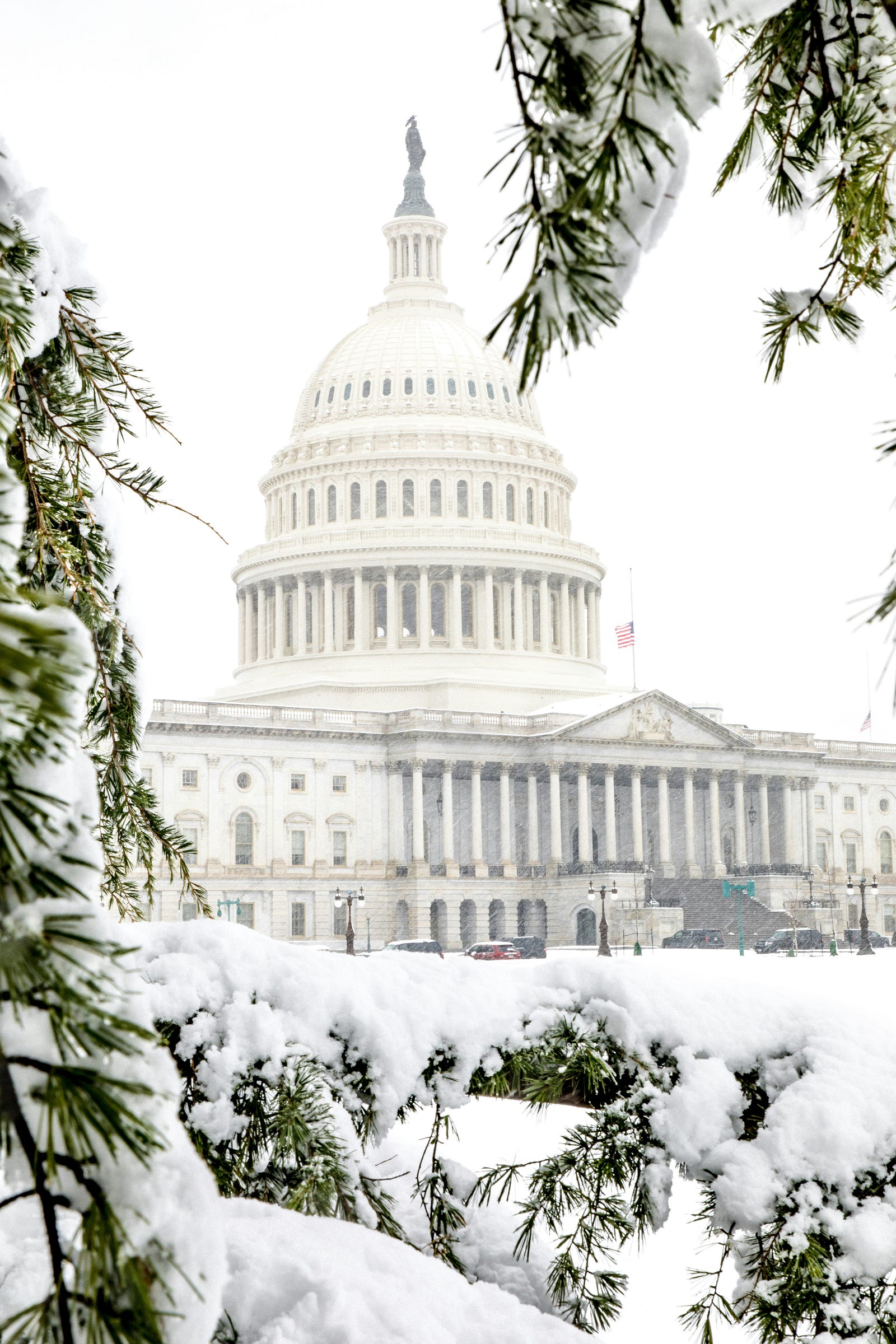 The U.S. Capitol building in Washington, D.C. The Food and Drug Administration (FDA) is also in Washington, D.C.