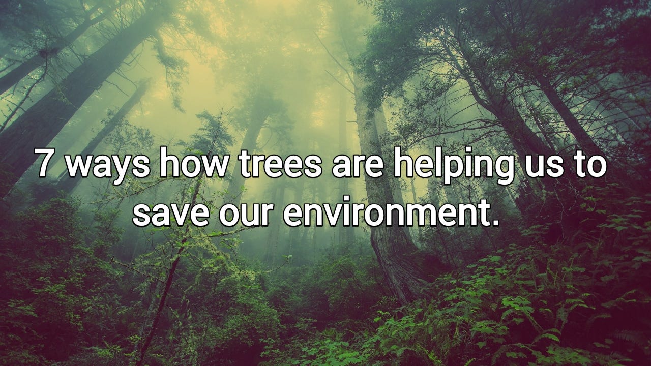 Save Trees 7 ways how trees are helping us LectureNotes.in Medium