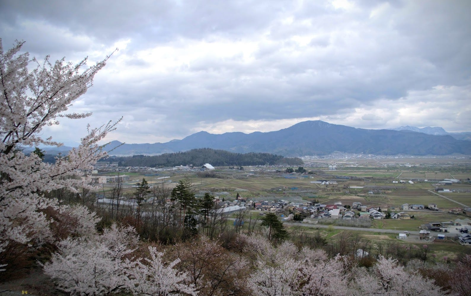The view from Mt. Kitayama in Murayama City with Mt. Koshikidake and Mt. Okina in the background, and sakura in the foreground.