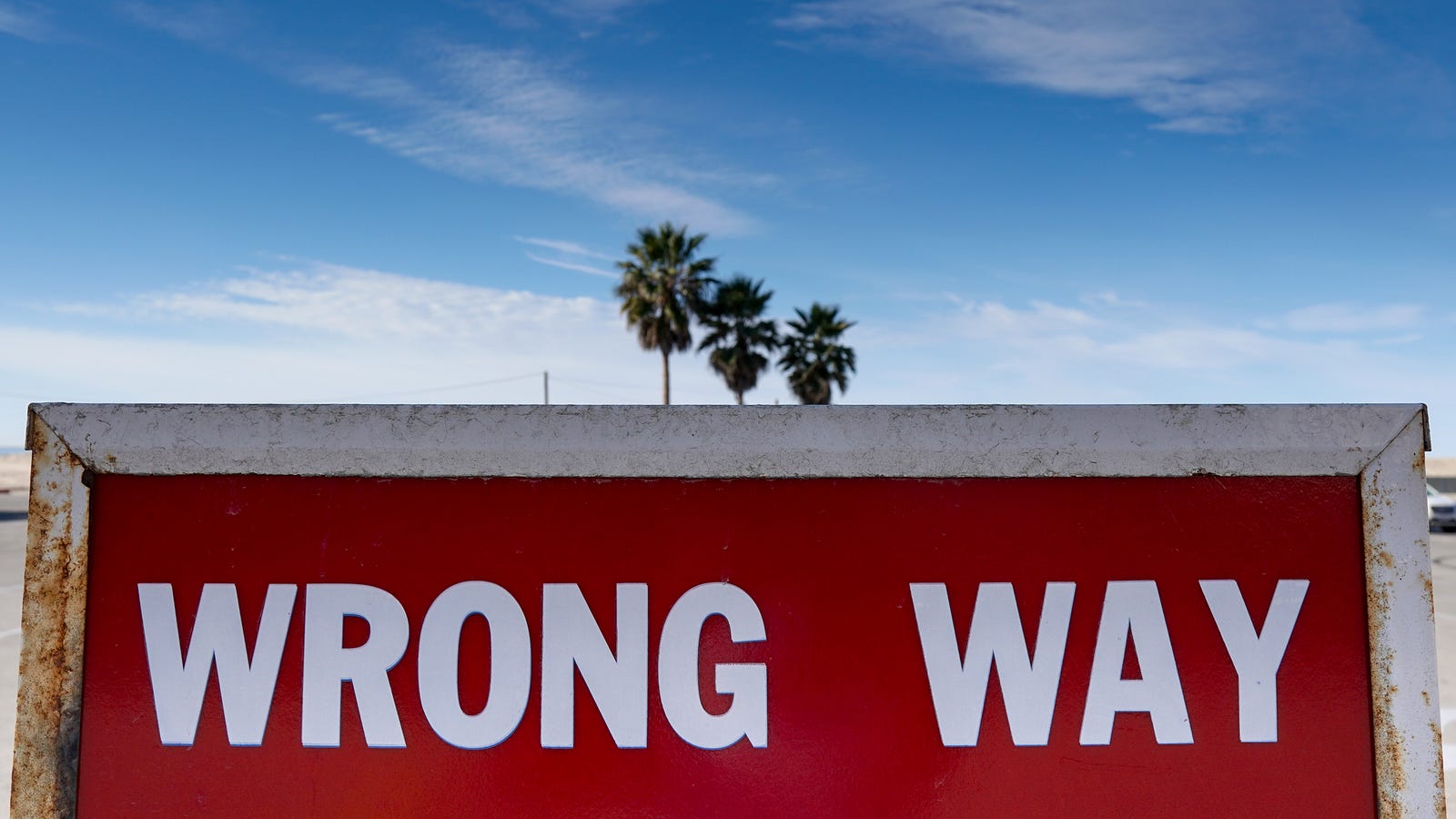 A sign reads “WRONG WAY” in all caps, white letters against a red background. Some researchers believe that we have been off the mark in pointing plaques of amyloid as the cause of Alzheimer’s dementia. The disease may be autoimmune in nature.