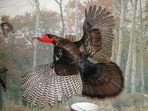 _flying_turkey