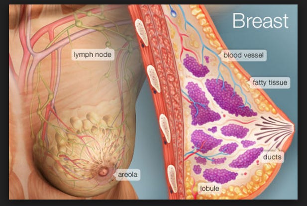 African american vagina pictures