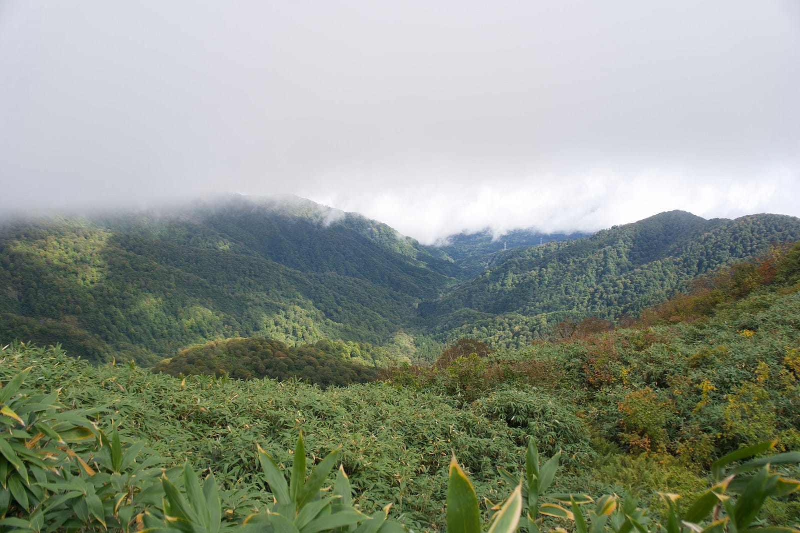 Hills covered in green form in a cone shape where Murayama Ha-yama’s crater once stood.