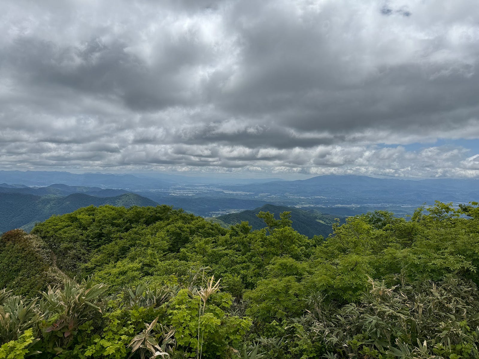 Looking back from the summit towards the trails of Mokuzo-yama. The sky is grey with clouds but the bright green of early summer dominates the foreground.