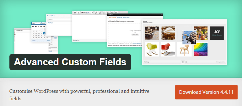 Advanced Custom Fields WordPress Plugin