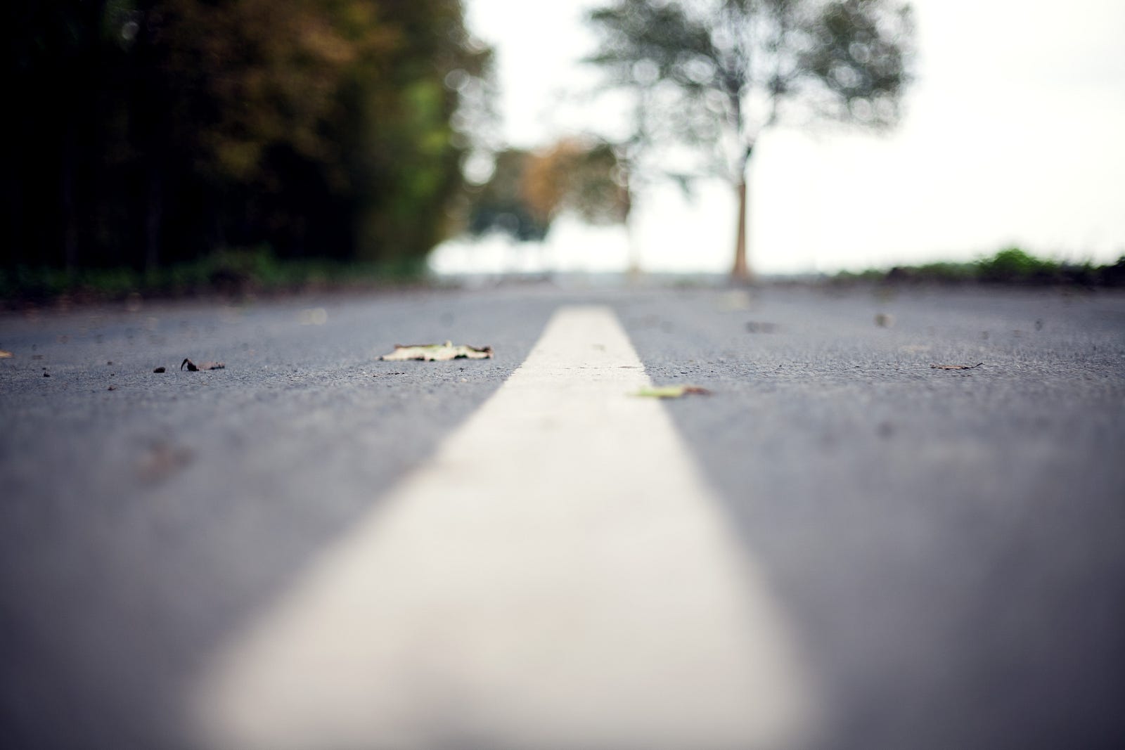 Photo credit to Maria Stiehler @ https://unsplash.com/@diereklamezentrale
