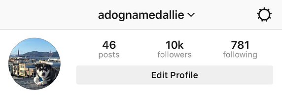 how we got to 10k followers - instagram 10k followers images