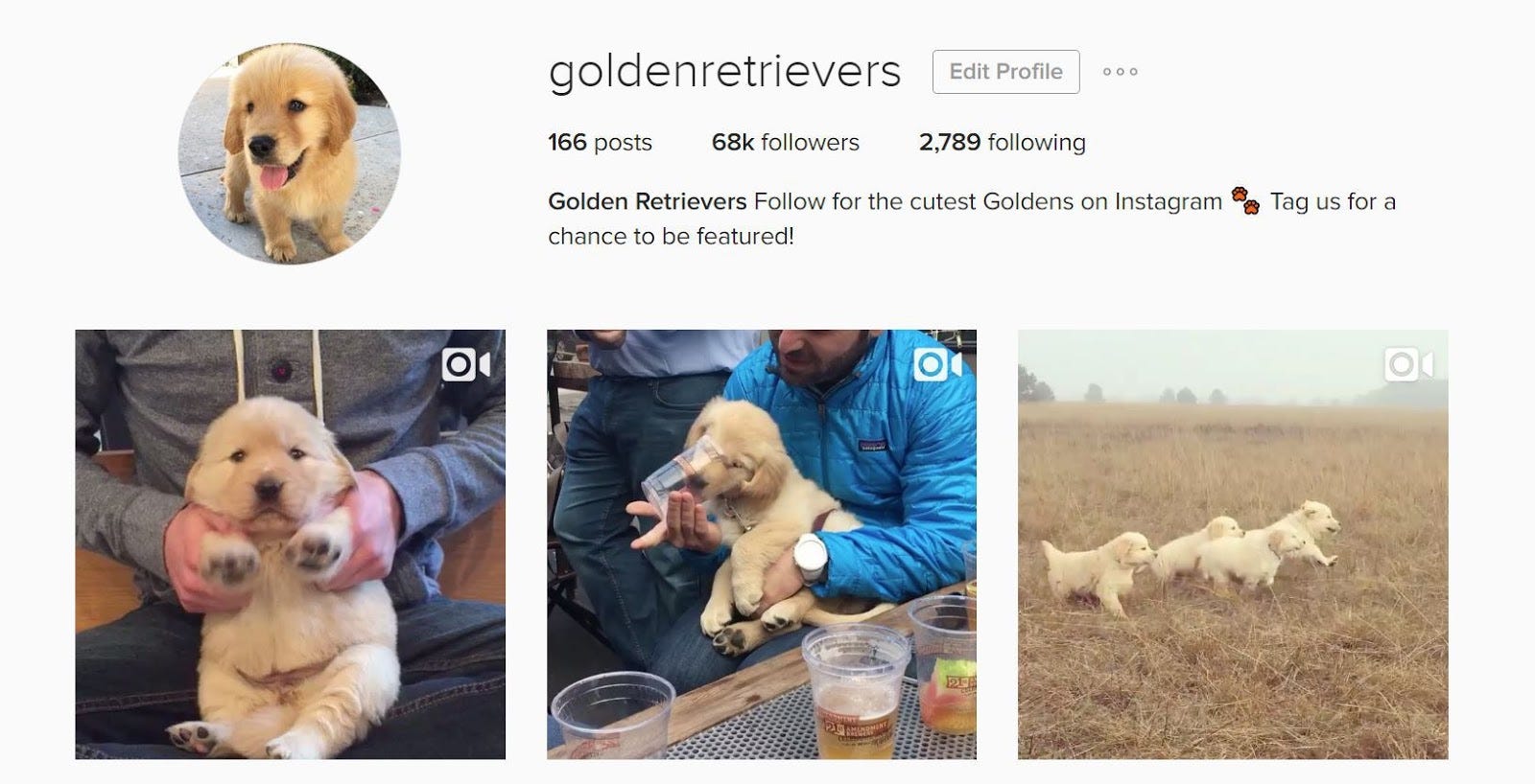  - follow under followers on instagram