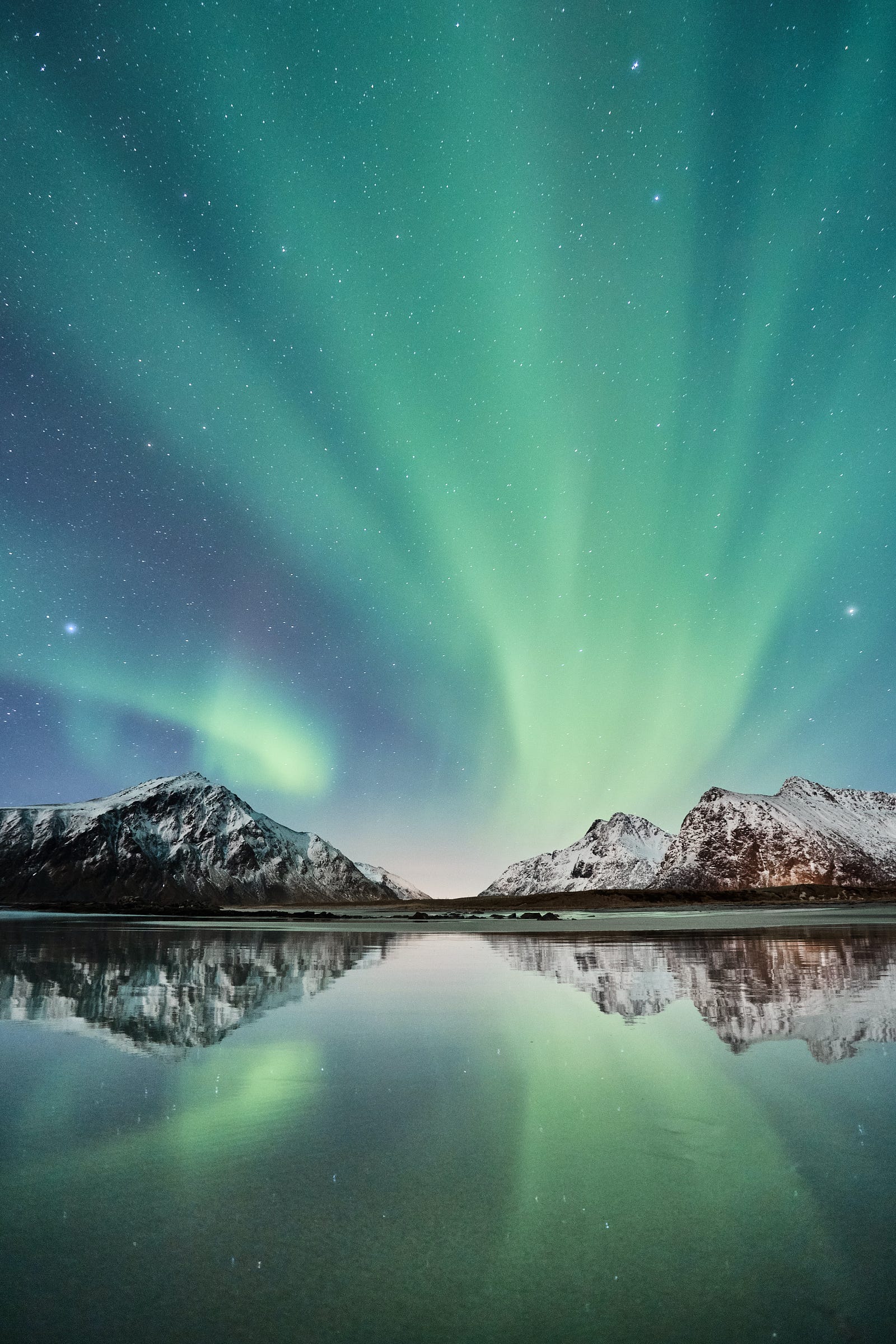 A green aurora borealis. The renowned Nordic diet, akin to the Mediterranean diet, has been associated with a reduced risk of chronic diseases and may contribute to increased longevity.