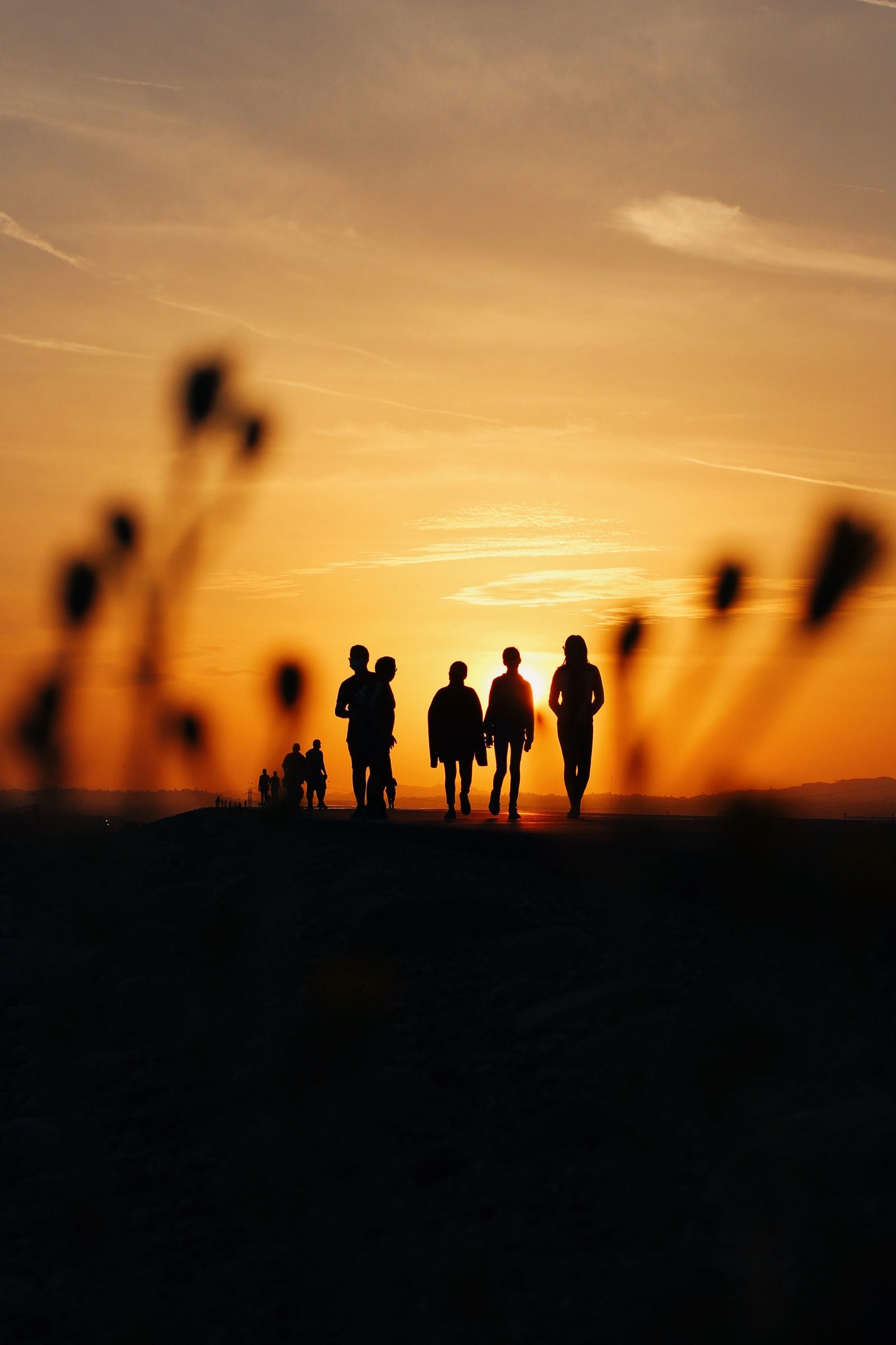 A group of five silhouetted individuals walks away from us into the sunset. To bridge the gap in our understanding, researchers funded by the U.S. National Institutes of Health conducted a study with nearly 1,000 adults aged 70 to 84. Those who used hearing aids had a nearly 50 percent lower cognitive decline rate than those in the health education group.