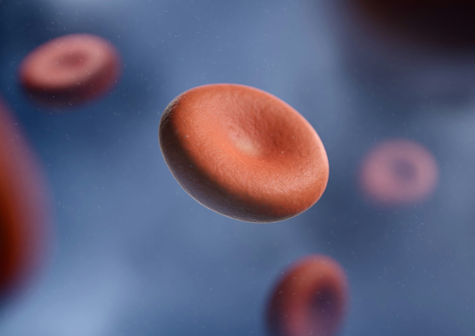 Platelets seem to float in space. These blood elements are central to blood clotting.