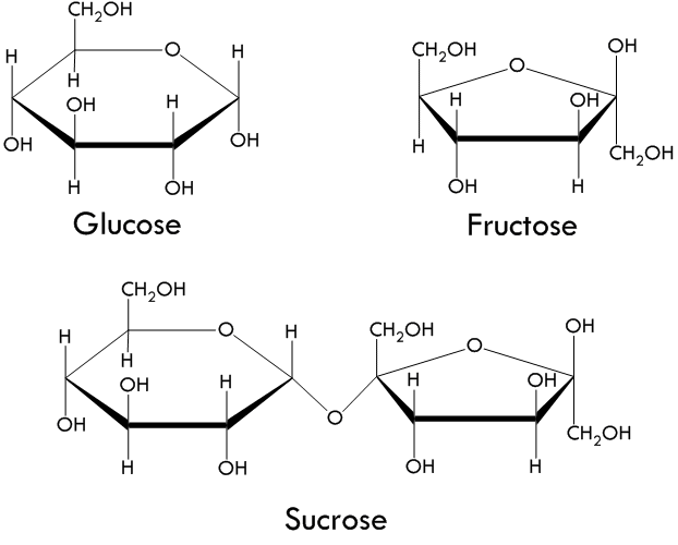 fructose difference glucose structure Fat The KetoSchool Metabolism â€“ Science Behind