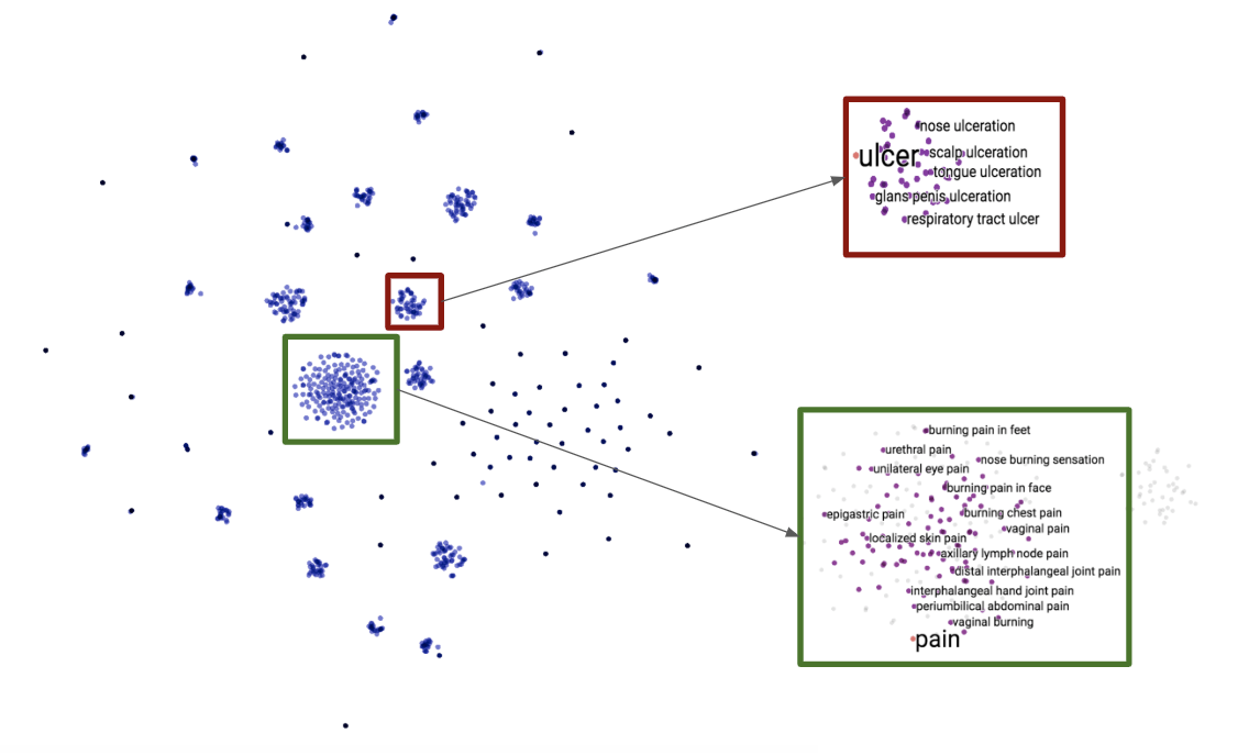Patient Knowledge Graph