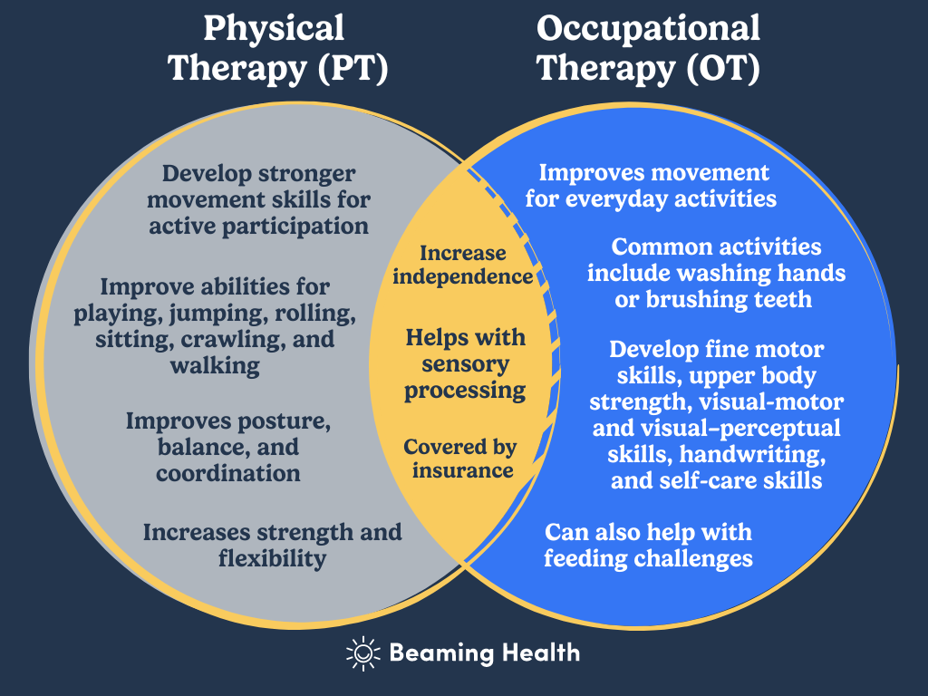 Physical Therapy For Autism And Other Developmental Disabilities 