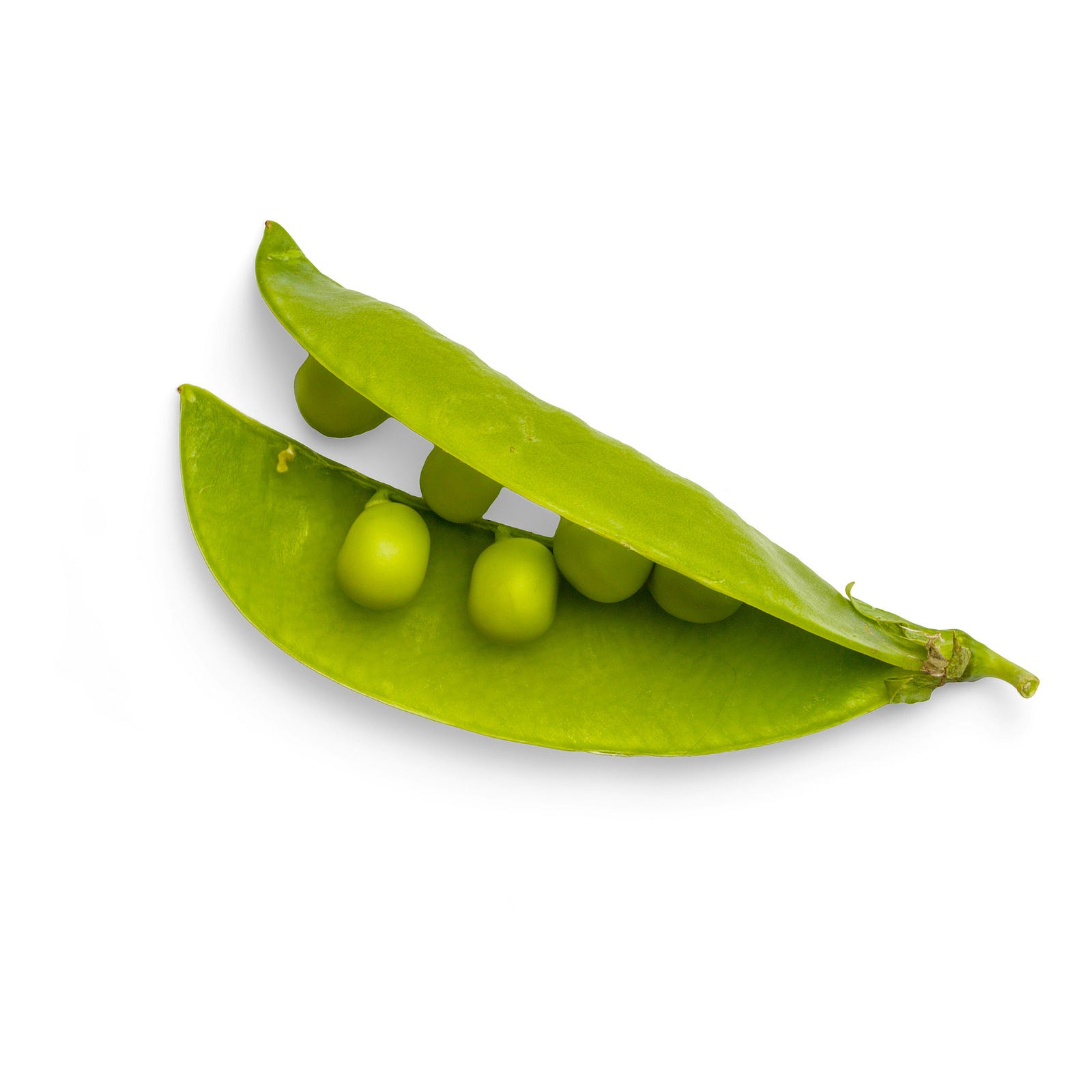 Vitamin B-rich peas spill out of a pod.