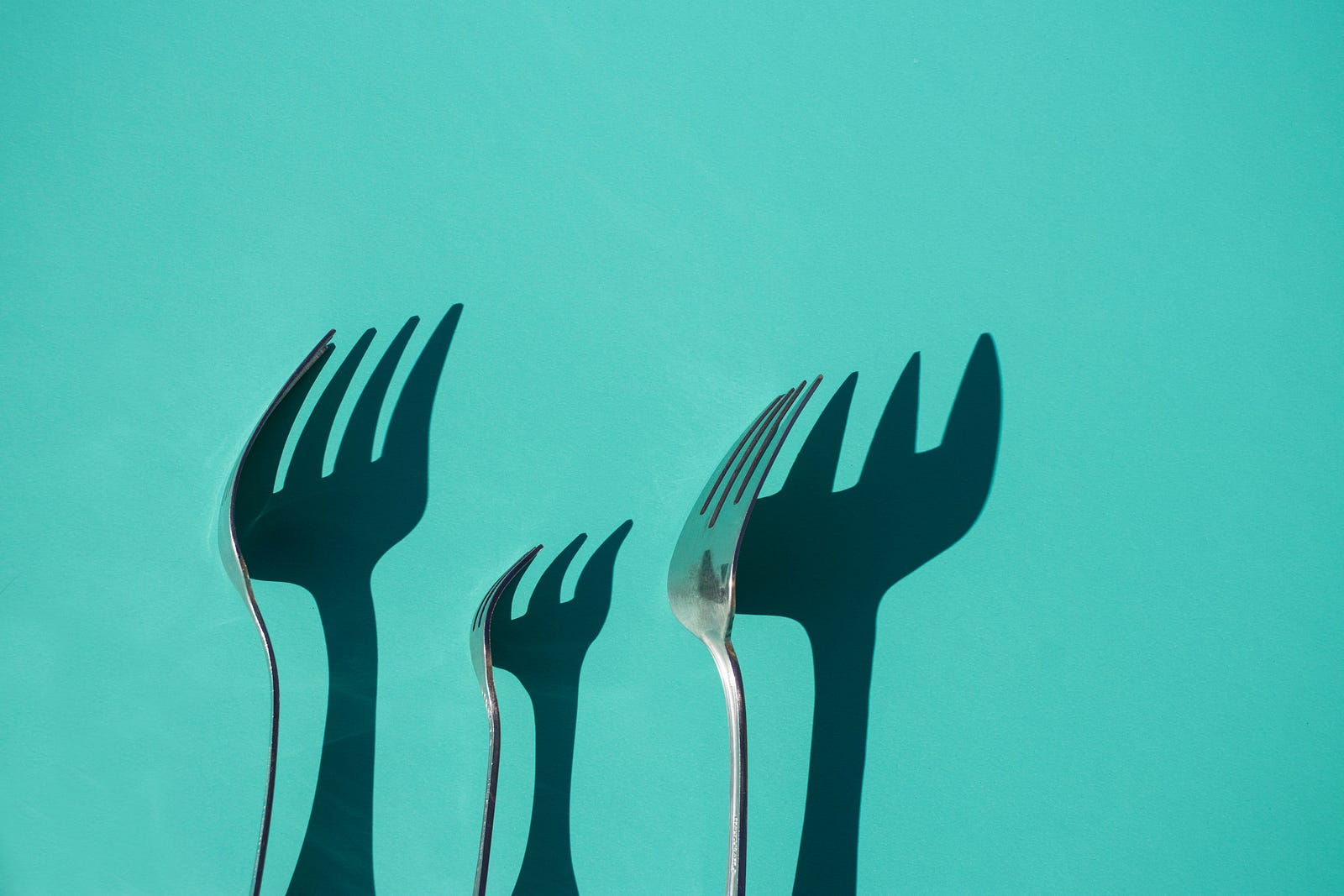 Three forks seen from the side, their big shadosw projecting against an aquamarine background. Subjects doing time-restricted eating consumed 425 fewer calories daily than those on no eating plan (the control group). They also lost about ten more pounds. Calorie counters consumed 405 fewer calories daily than controls.