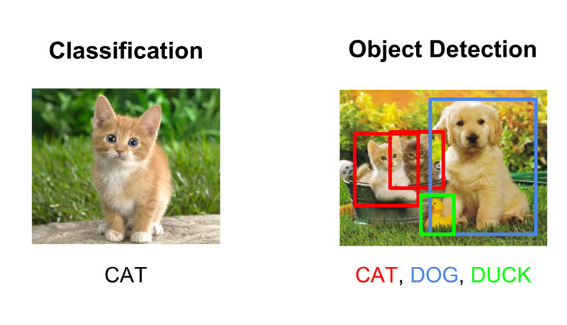 object-detection-using-google-ai-open-images-towards-data-science