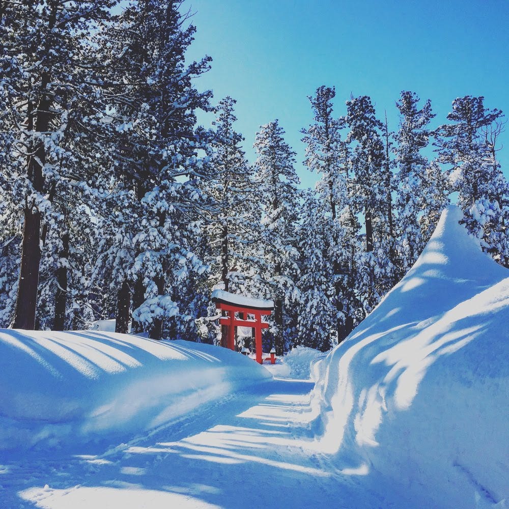 The red torii gates of Haguro-san really stick out amongst the white snow. Haguro-san is one of the 100 Famous Mountains of Yamagata.
