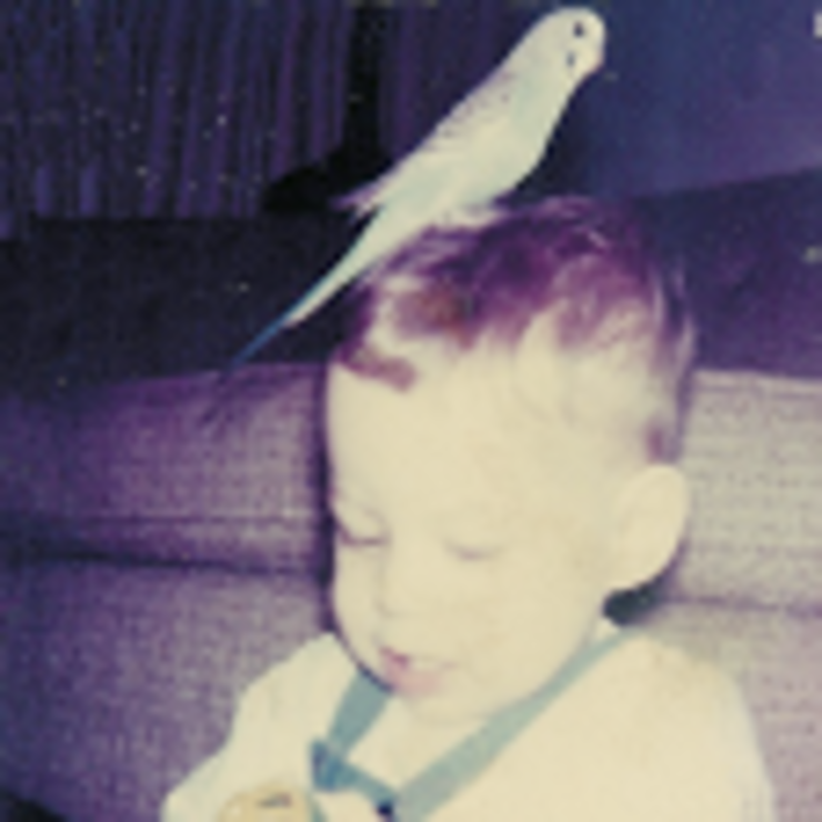 Birdhead134