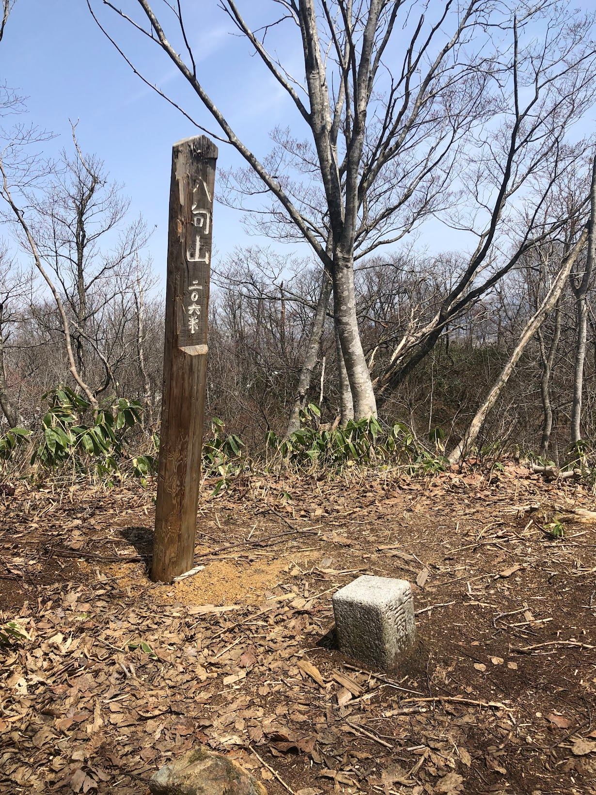 A wooden pole that signifies the summit of Mt. Yamuki and small concrete block showing its height.