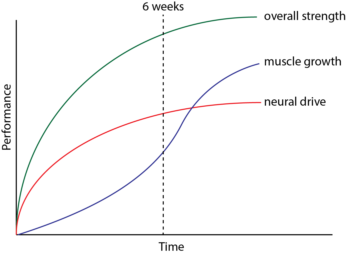 Five Strength Training Myths and the Science That Proves Them Wrong