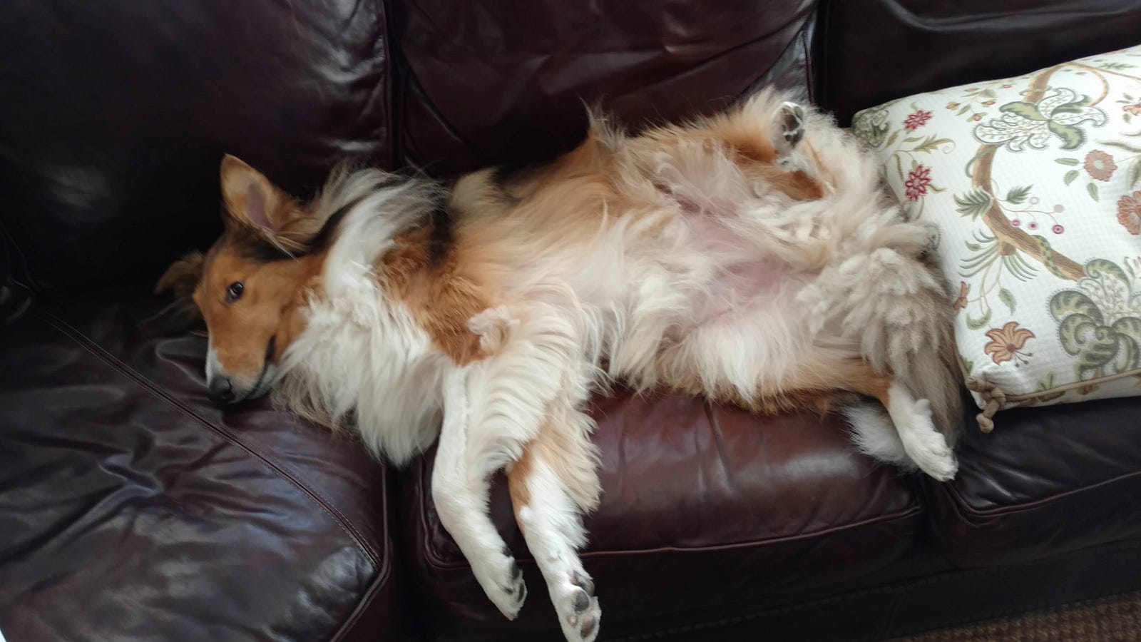 Kedzie Has An Interesting Definition Of Comfortable