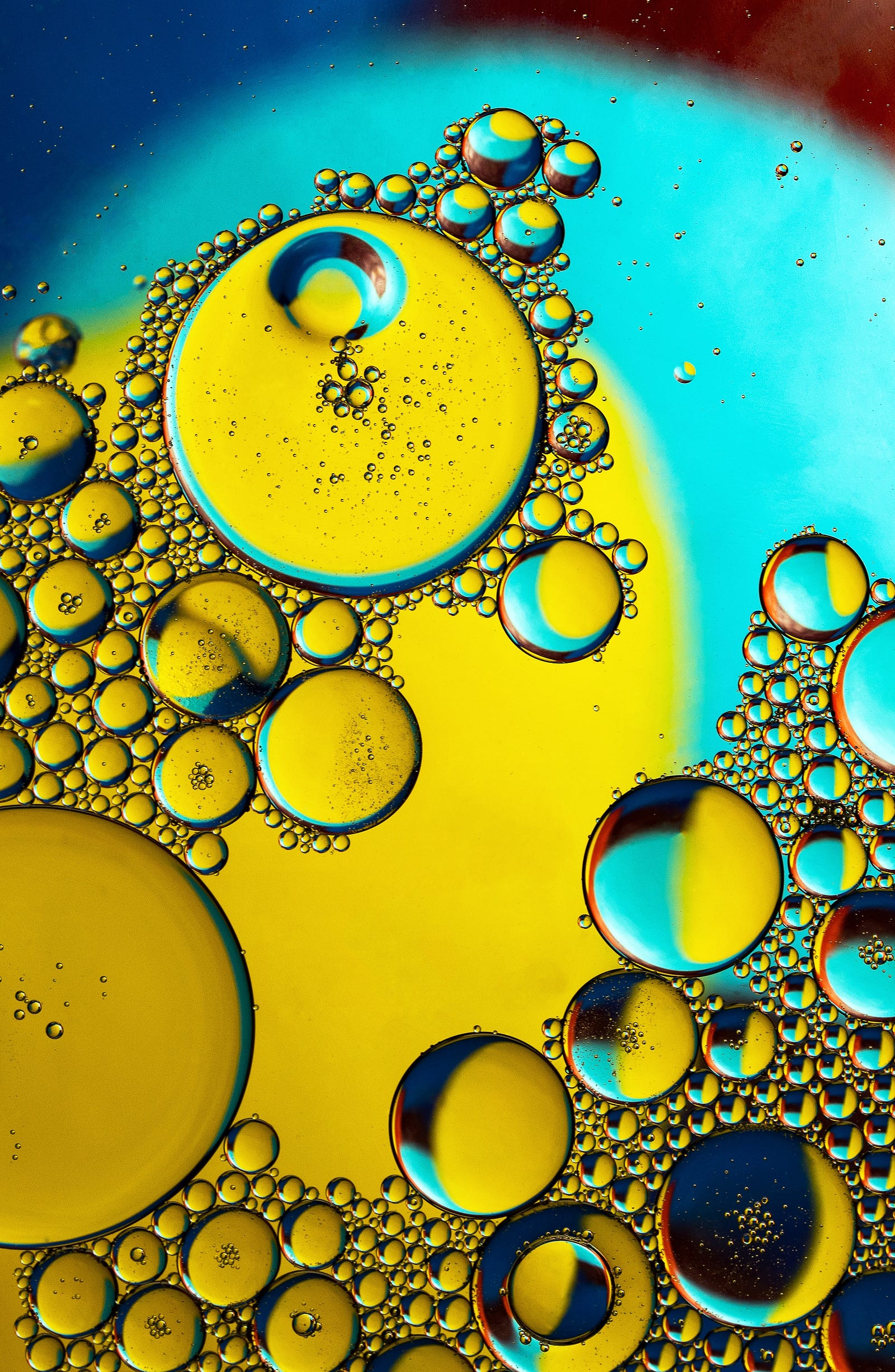 Various sizes of olive oil bubbles seen very close up. I embrace healthy fats. What is a healthy fat? Examples include nuts, olive oil, and avocado. I need these fats for hormone production. These hormones include testosterone, which plays a significant role in muscle growth and repair.
