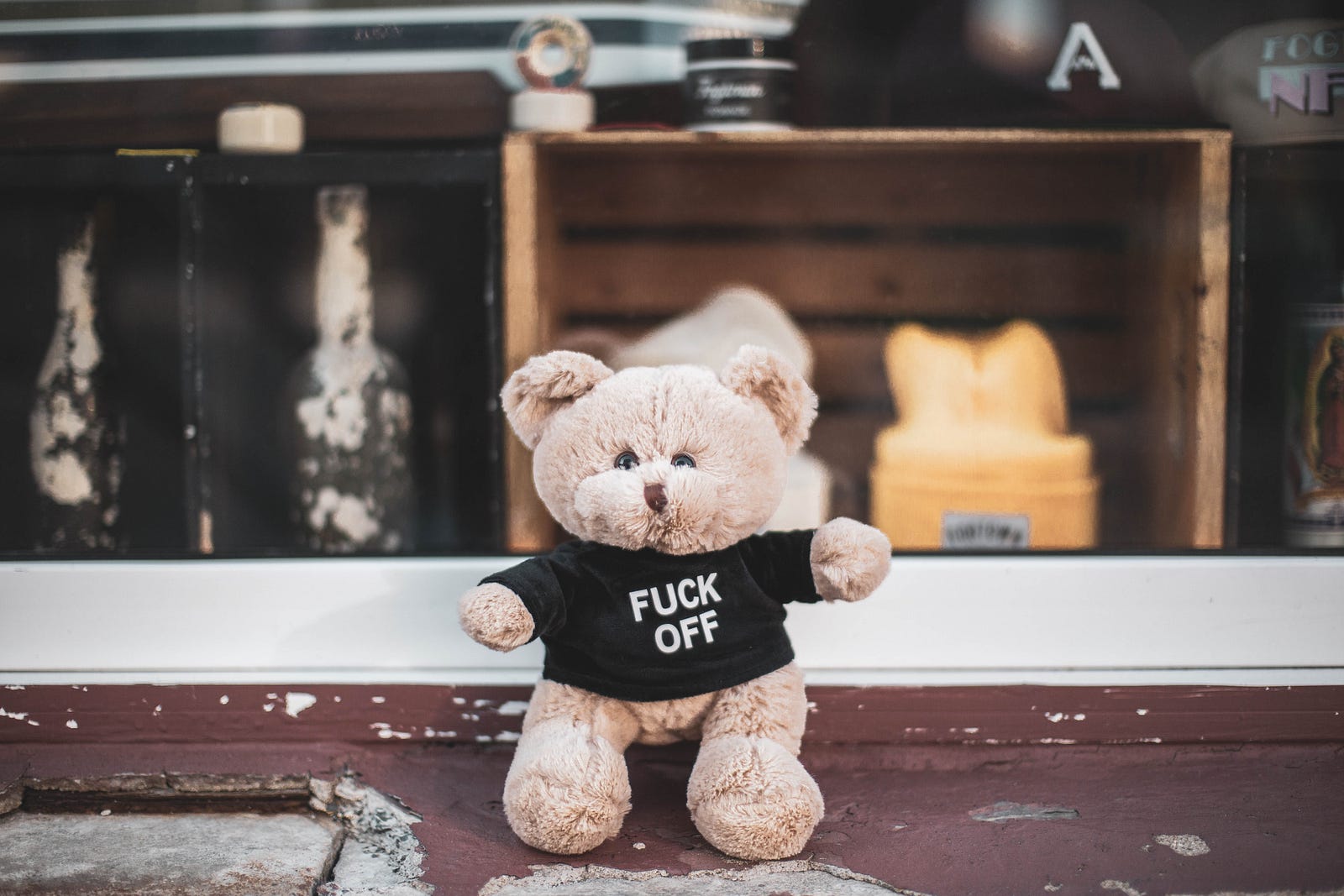 A teddy bear with a shirt that says “Fuck Off”