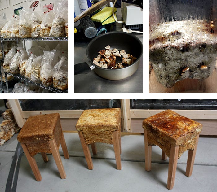 The Freaky Fungal Furniture of Phil Ross — The Bold Italic — San Francisco