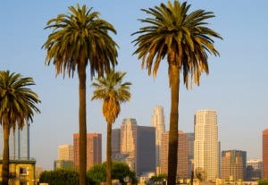 Downtown Los Angeles and Palm Trees