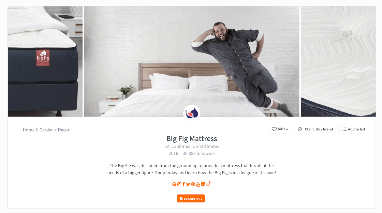 The Top 10 FastestGrowing DTC Mattress Brands
