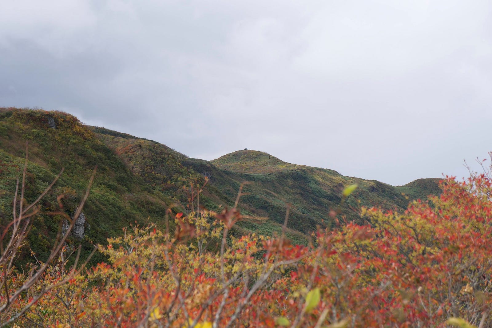 Hakuban Jinja (shrine) stands atop a distant mountain, with the summit of Murayama Ha-yama to the left, and red and yellow leaves in the foreground