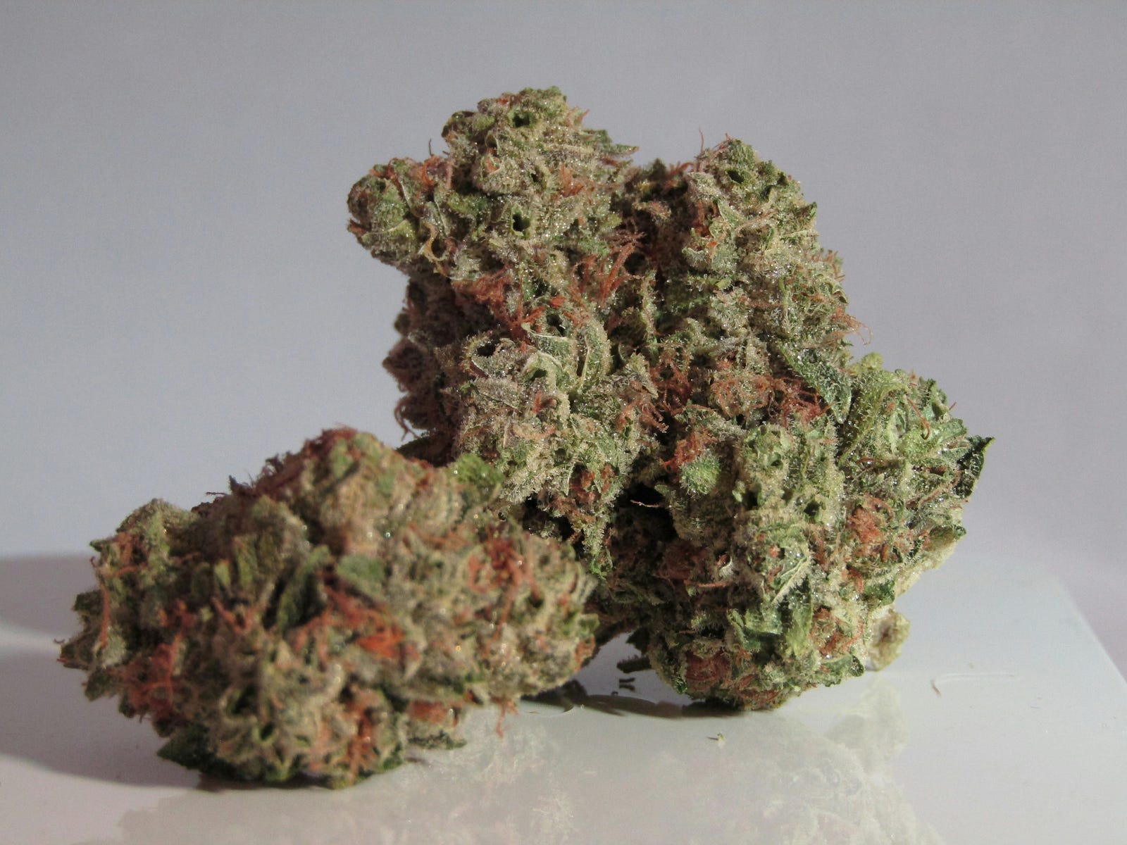 A marijuana bud.