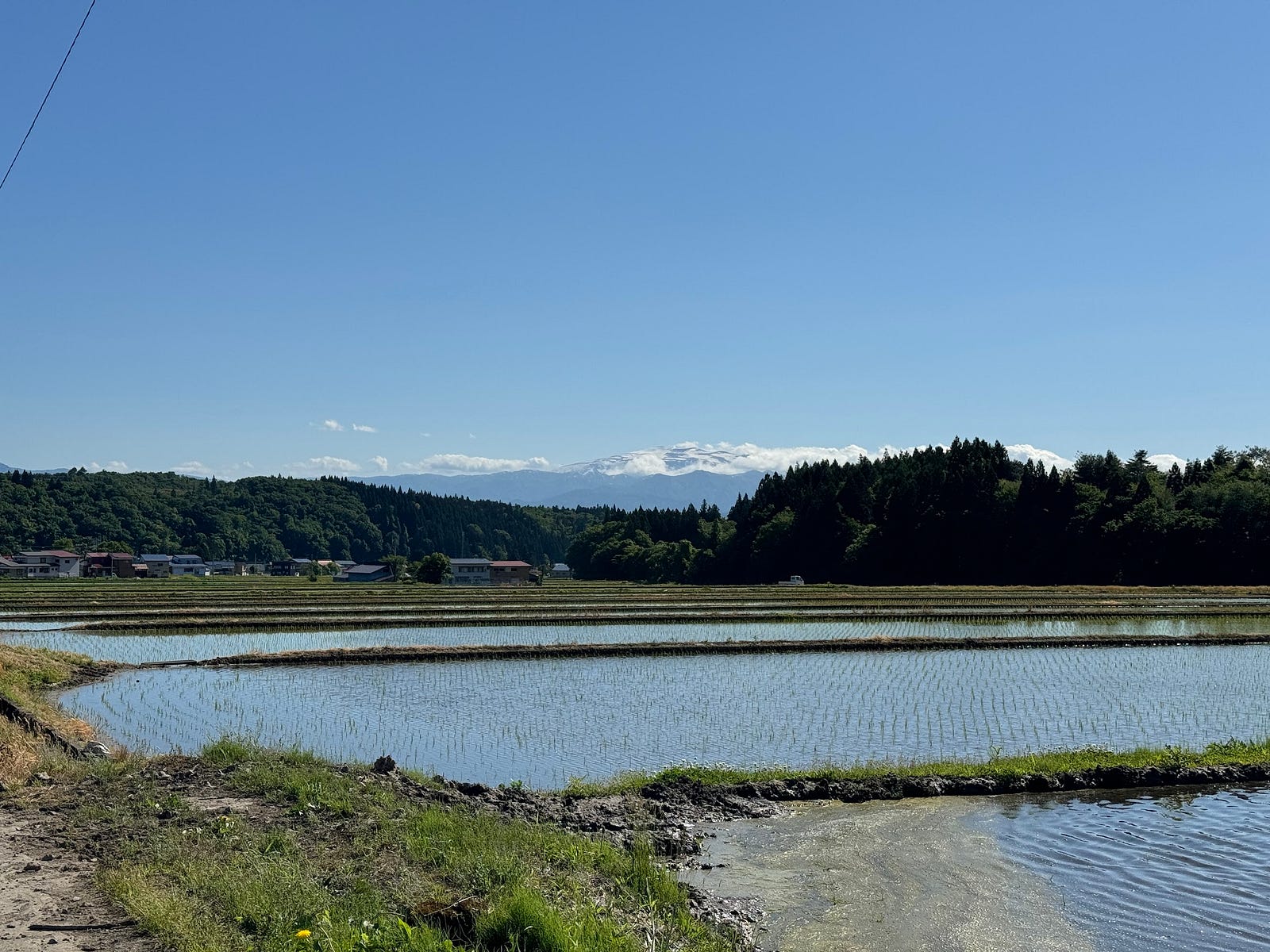 Mt. Gassan seen under a bright blue sky partially reflected in the rice fields of Shinjo City.