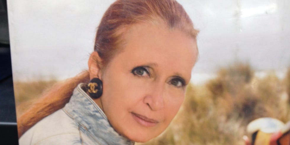 essay on danielle steel