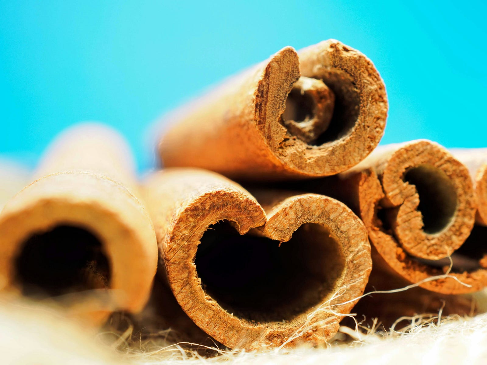 A close-up of cinnamon sticks, seen end-on.