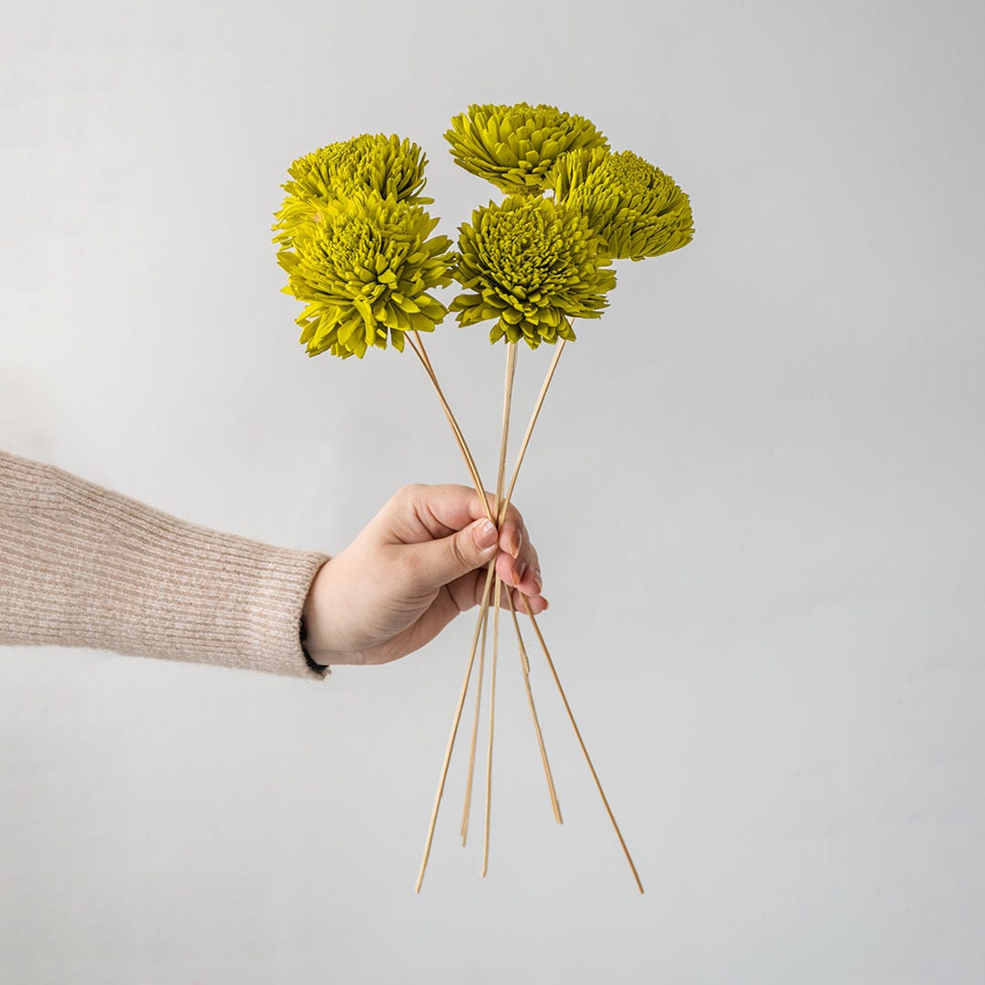 Dried Flowers