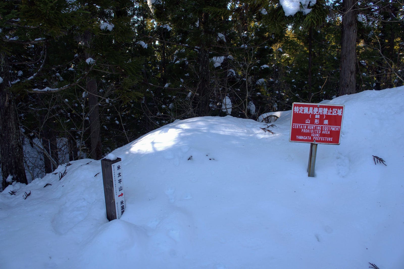 A red sign warning against hunting in the area and a sign pointing to the summit of Mt. Yonetaihei, only the trail is buried with snow