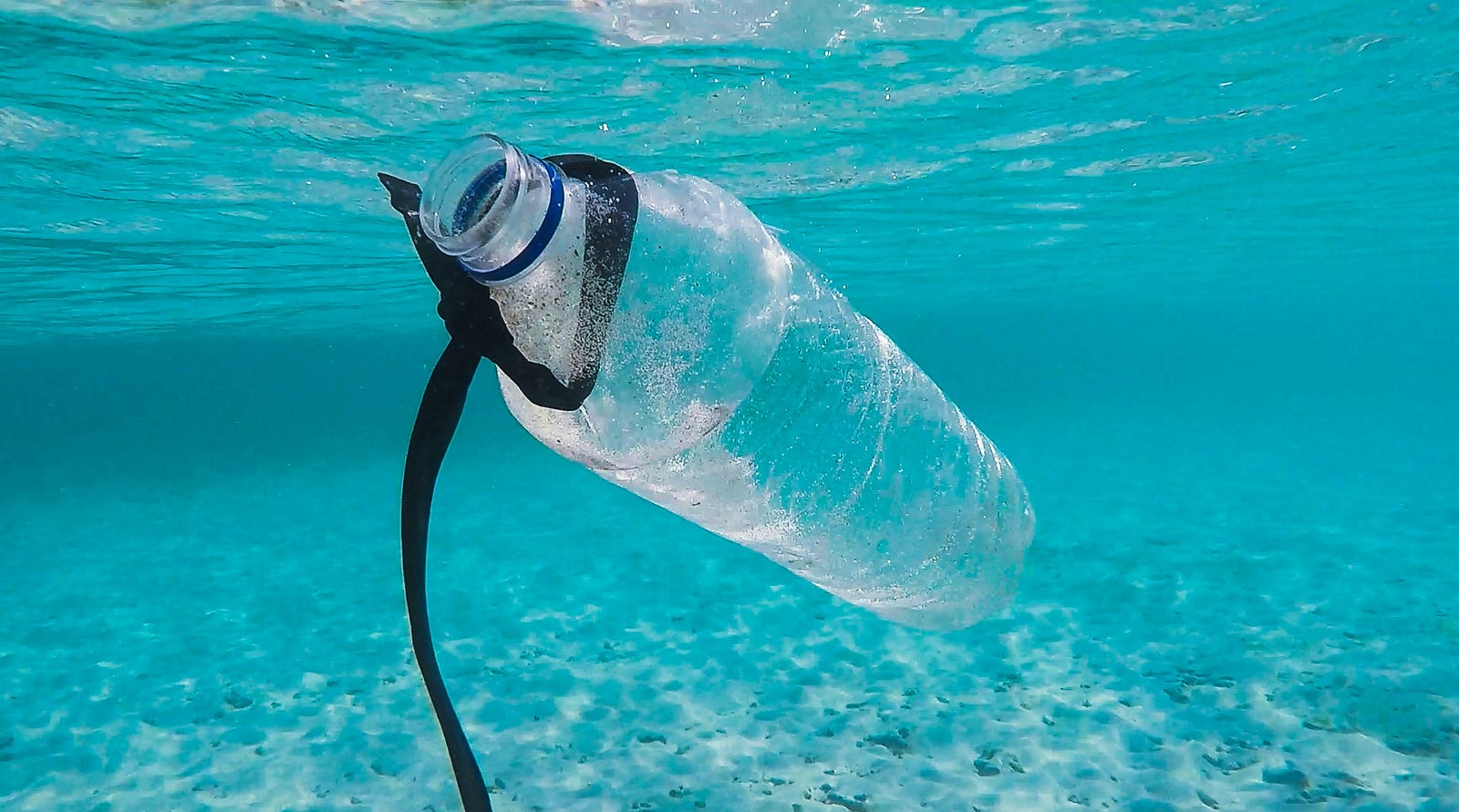 A plastic bottle floats underwater in the ocean.
